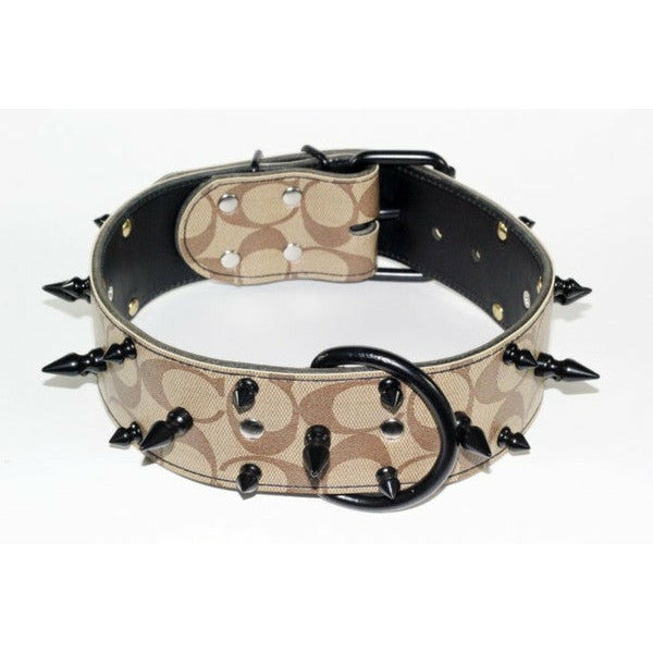 Spiked Designer Dog Collar