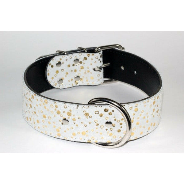 gold spotted leather dog collar