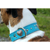 stud leather turquoise heart collar