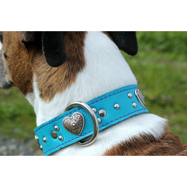 Turquoise studded hot sale dog collar