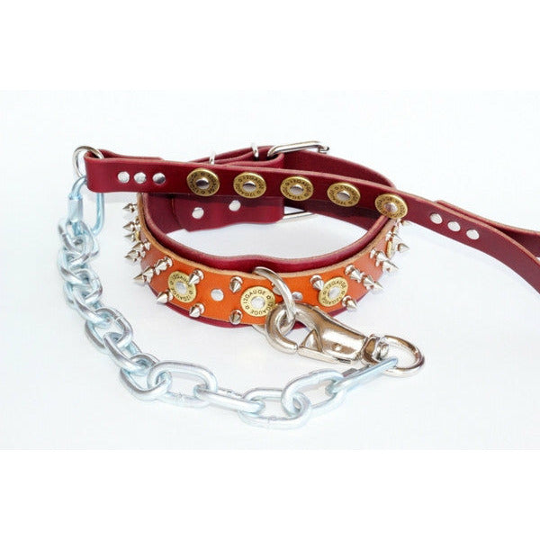 leather collar and chain leash set for larger dog