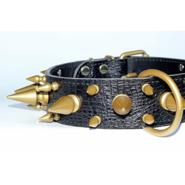 black and gold spiked collar
