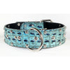 Turquoise Dog Collar with Studs