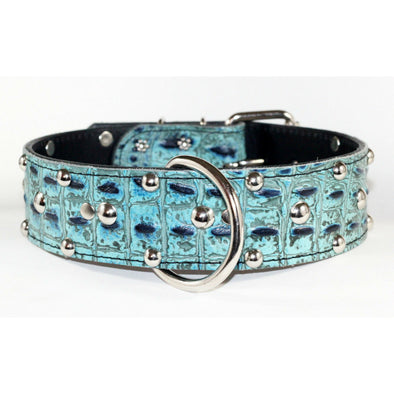 Turquoise Dog Collar with Studs