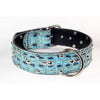 american bully studded dog collar