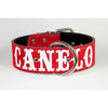 Name Leather Dog Collar