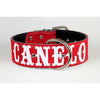 Embroidered Red Leather Dog Collar