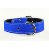 ROYAL BLUE SUEDE bully DOG COLLAR - Rad N Bad Collars - suede blue dog collar