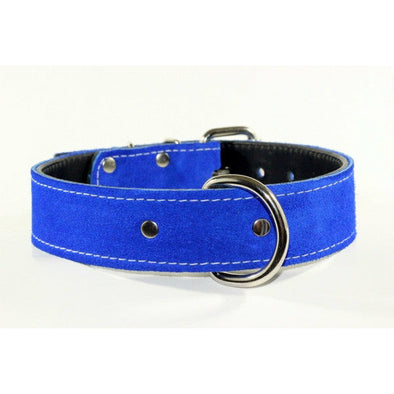 ROYAL BLUE SUEDE bully DOG COLLAR - Rad N Bad Collars - suede blue dog collar