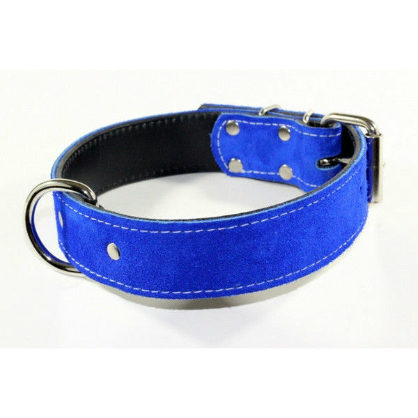 ROYAL BLUE SUEDE DOG COLLAR-Rad N Bad Collars