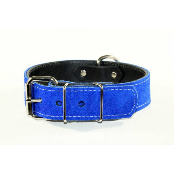 Blue suede leather  dog collar - blue leather suede doberman dog collar - pitbull blue suede collar - bully suede leather collar