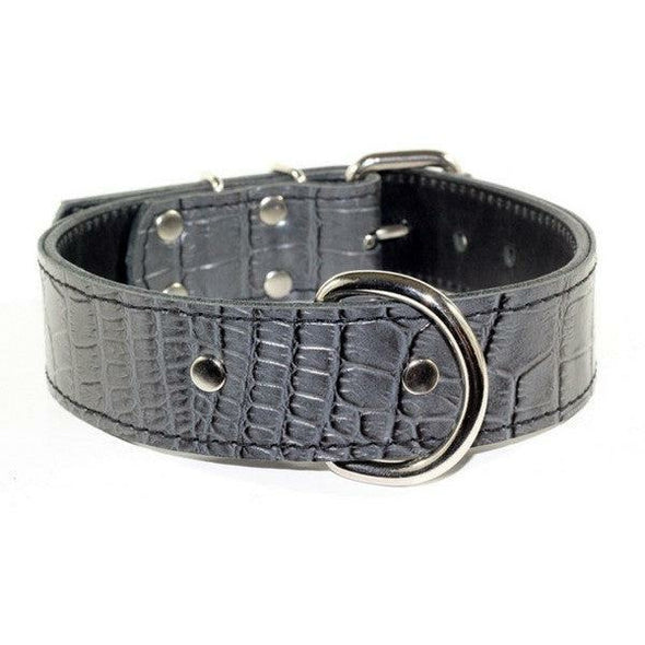 Leather Dog Collar