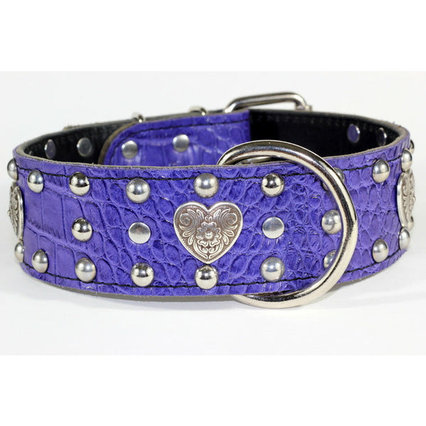 stud croc purple leather collar