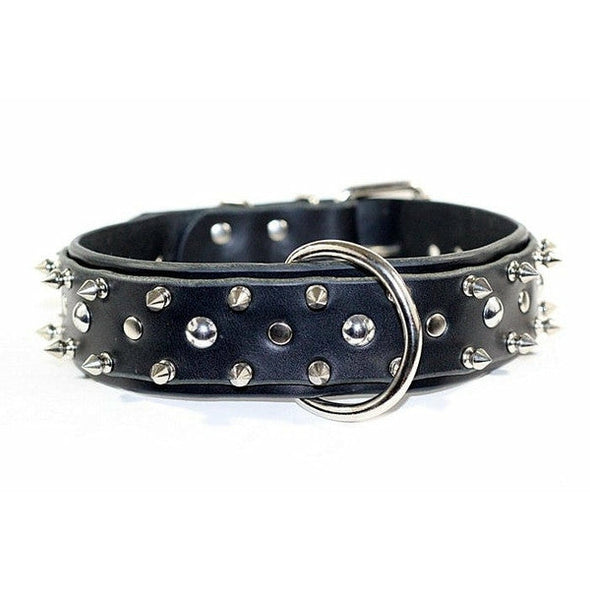 2" Dual Layer Pitbull Leather Dog Collar