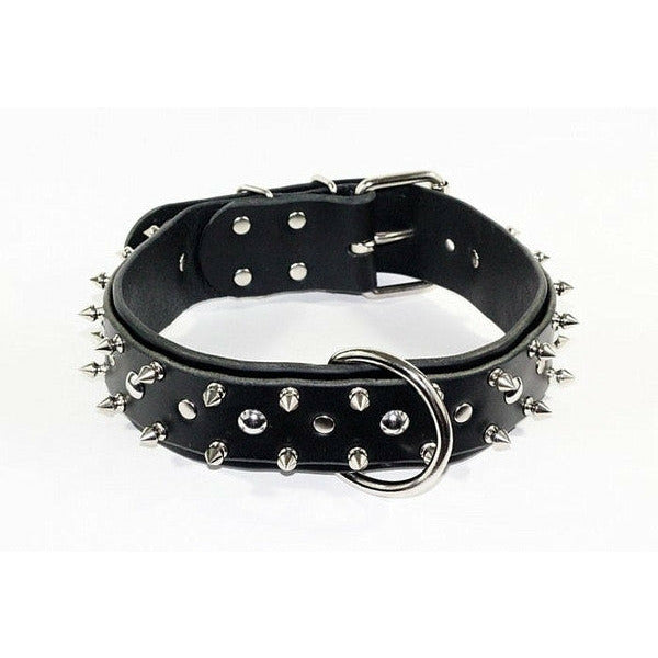 black latigo leather with spikes, Wide Spiked Dog Collar