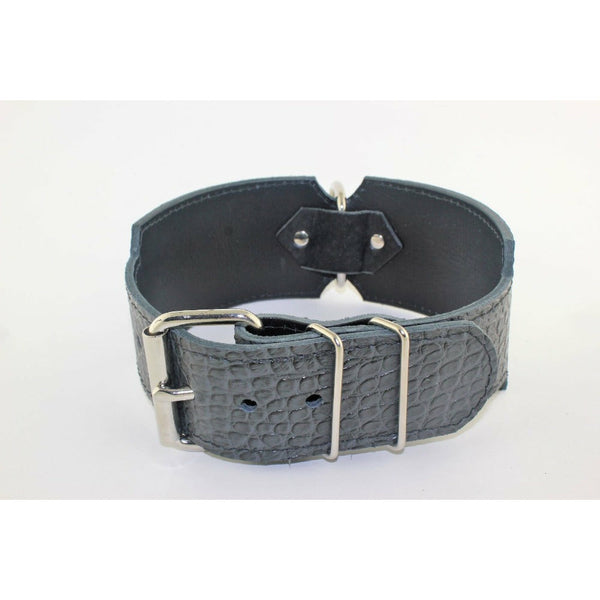 wide grey embossed alligator leather dog collar