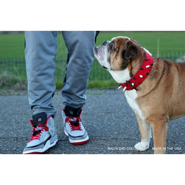 Jordan dog collar top