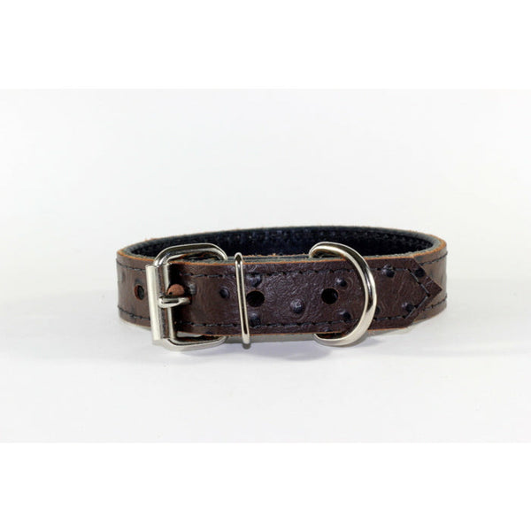 brown leather dog collar