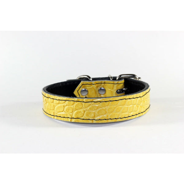 yellow leather dog collar