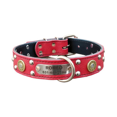 Name Plate Leather Hand Made Dog Collar