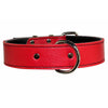 red leather dog collar