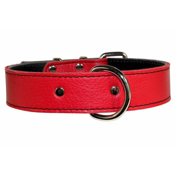 red leather dog collar