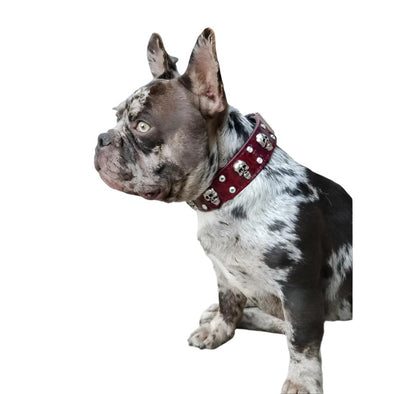 Red Patent Frenchie Leather Dog Collar