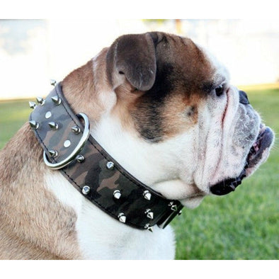 2" Camo Leather Bulldog Spiked Dog Collar
