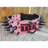 american bully spiked dog collar