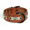 custom leather name dog collar