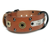 custom name plate id dog collar