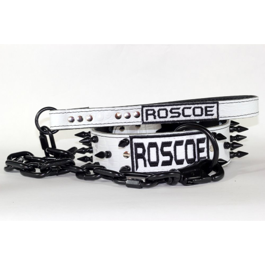 Black And White Spiked Name Collar With Matching Leash