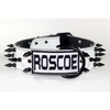 spiked name dog collar