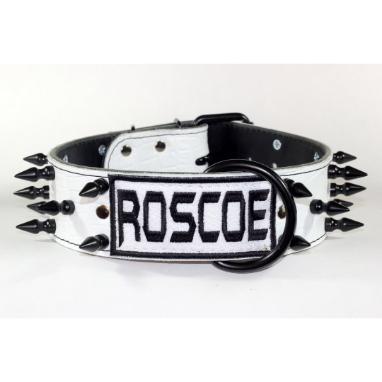 spiked name dog collar