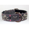 skull leather dog collar