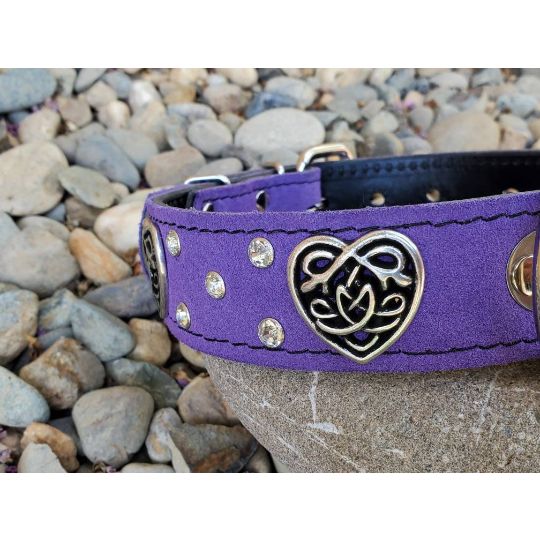 custom dog collar - custom leather collar - suede leather dog collar