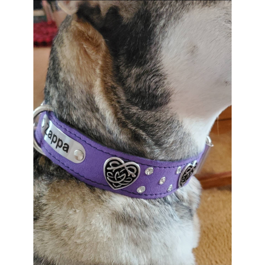 Lavender Suede Personalized Name Plate Dog Collar