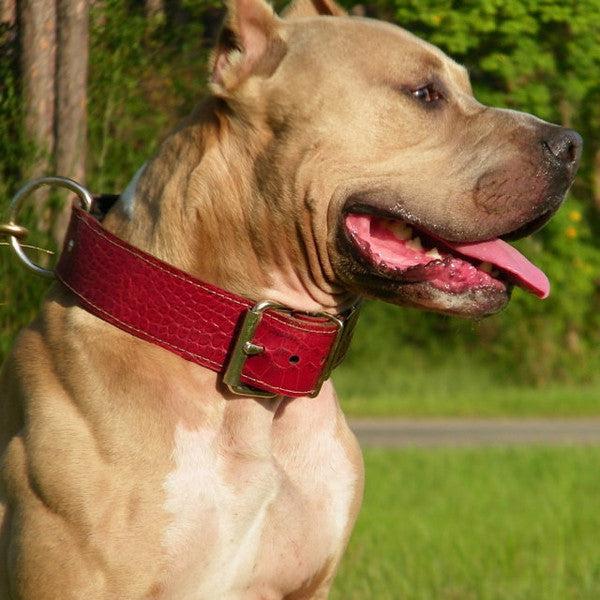 Red croc leather dog collar