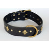 Black And Gold Imperial Collar