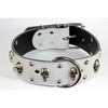 skull leather collar