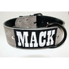 Suede Embroidered Leather Dog Collar