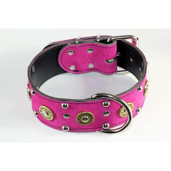 12 gauge shotgun dog collar