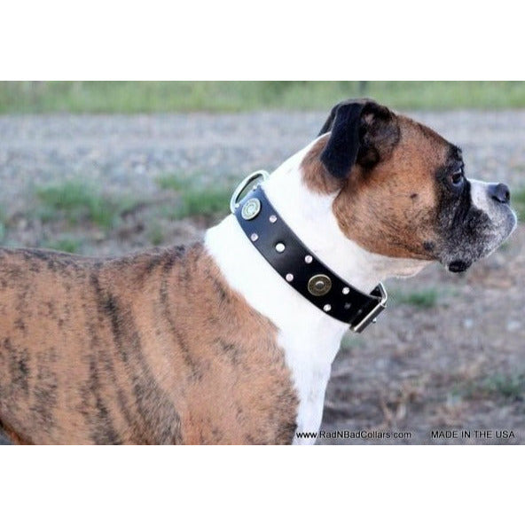 Black Leather Boxer Dog Collar