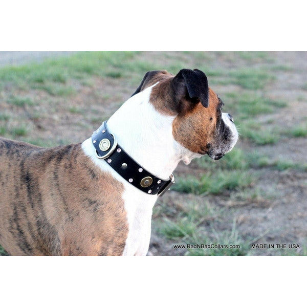 12 gauge shotgun shell leather dog collar