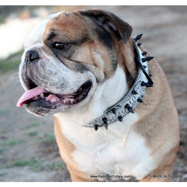 bulldog spike snake Skin Leather Dog Collar -pitbull spike dog collar - dobie spiked collar
