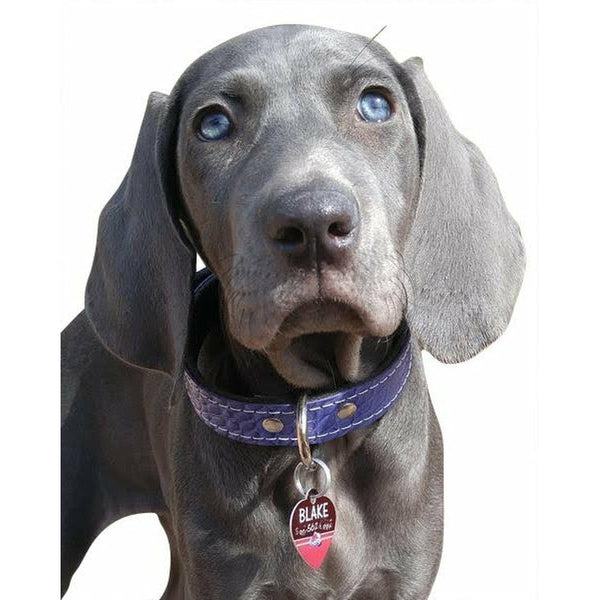 Purple Embossed Croc Leather Dog Collar